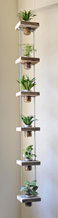 Don't have much space to grow your favorite plants? Try building a vertical garden like this one, designed by Susie Frazier. Using salvaged wood, threaded rods and bolts, and a handful of mason jars, you can construct a simple hanging planter to add a lot