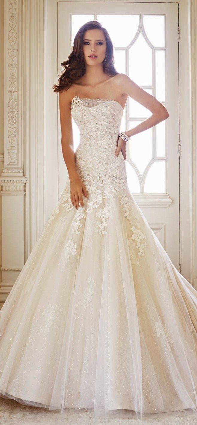 Sophia Tolli Fall 20...