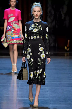 Serea采集到Dolce & Gabbana