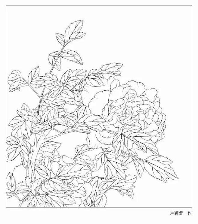 白描画谱：花卉白描