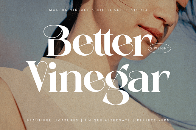Better Vinegar Serif...