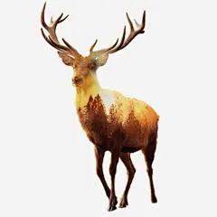 简约黄昏羚羊插画免抠素材_新图网 https://ixintu.com 插画 简约 羚羊 黄昏