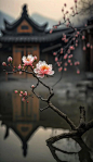 海棠花还是樱花呢？春有约，花不误@美图绘的动态