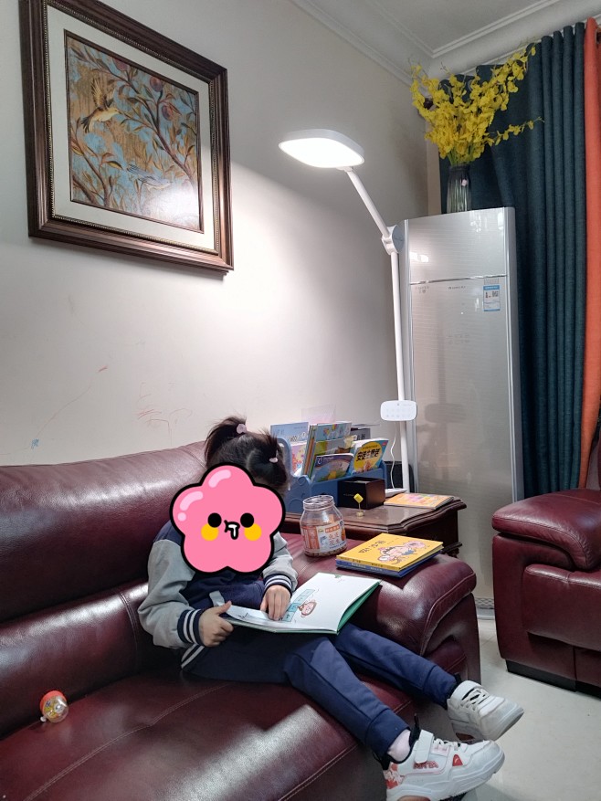 爱迪思旺全光谱学习专用客厅卧室阅读立式落...