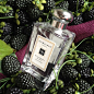 Jo Malone blackberry and bay cologne is sparkly, fruity, autumnal and very Jo Malone.  The lovely folks at JM sent over a bottle and in September there will be the body wash, candles and the body creme to enjoy too!  Layer it with Nectarine blossom and ho