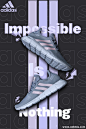 shoes adidas Poster Design Social media post Graphic Designer Voilet