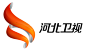 hbws new logo 河北卫视全新升级 增设二级台标