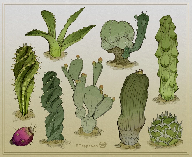 Cactus Studies -花瓣网
