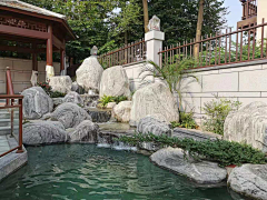 小季吃芒果采集到花园景观-水池