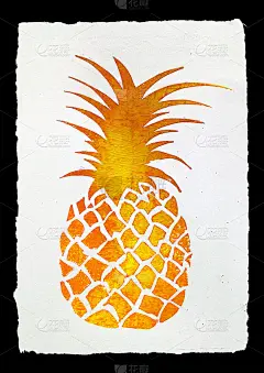 菠萝艺术打印