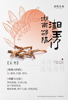 张张啊12138采集到中药药材
