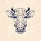 母牛,动物头,分离着色,牲畜,肖像,图像,公牛,哺乳纲,牛,复古