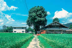 anxincity采集到美