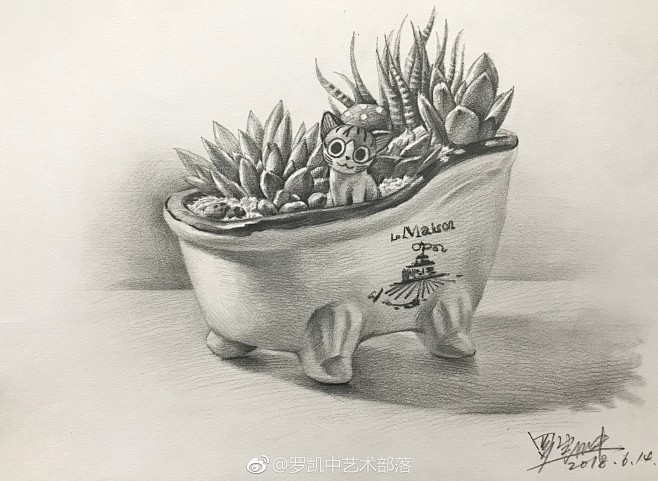 来自分享，画，素描花卉