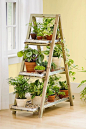 A-Frame Plant Stand