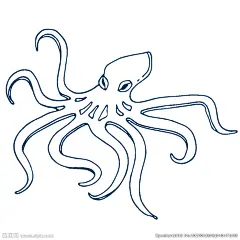 手绘海洋生物