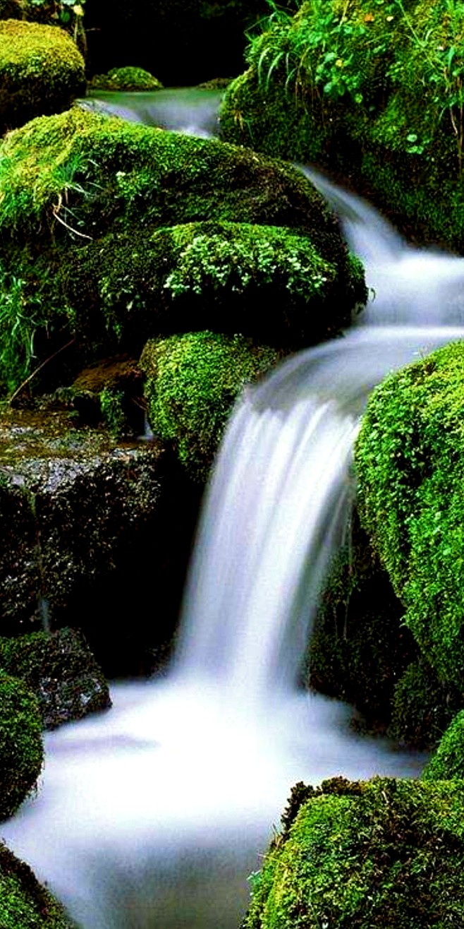 流水潺潺清澈兮不腐