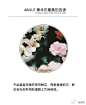 不必逗留采摘并保存鲜花，而是继续前进，鲜花会在你所有的道路上兀自绽放。