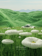 你种的花人间早就开遍了 - 小红书