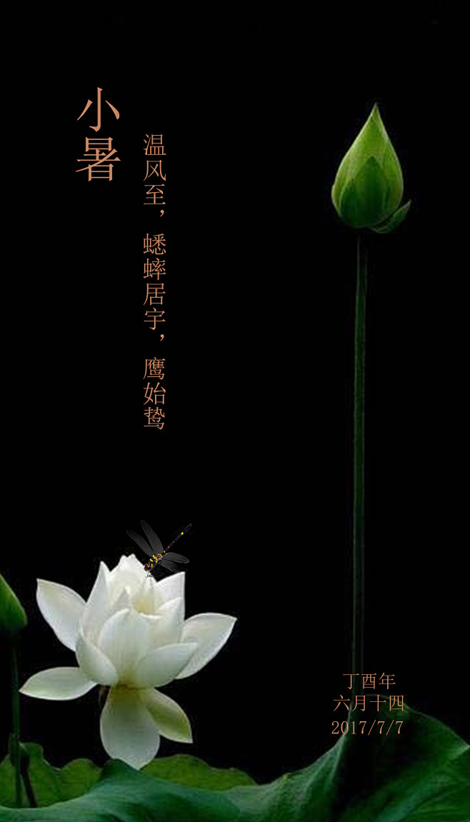 小暑