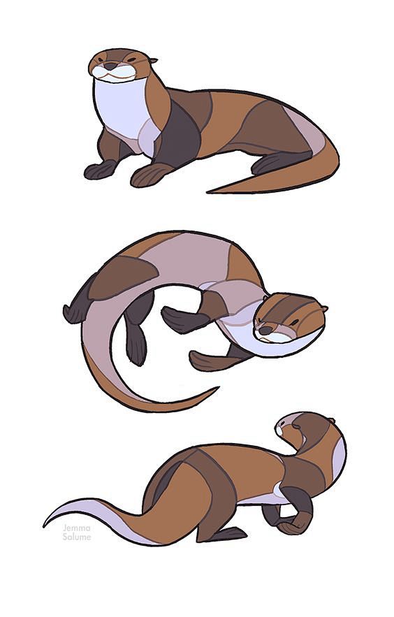 Studies - Otter by o...