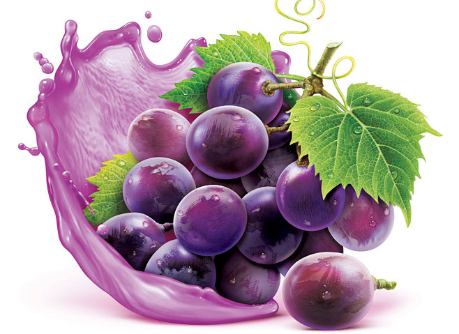 FRUIT-02.jpg