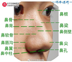 白鹿猿采集到素描人像结构