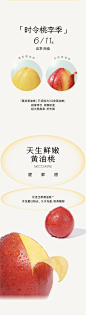与百万人同享「超大桶」真果快乐