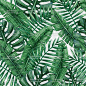 [编号405]绿色热带雨林棕榈叶芭蕉叶无缝图案EPS矢量素材-淘宝网