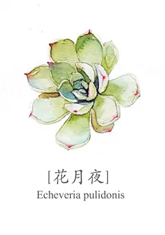 花月夜