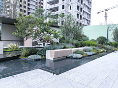 严老师（植栽设计）采集到杰森极致花园