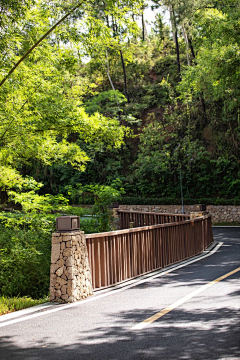 苏西本西采集到道路