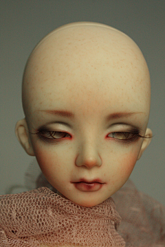 Dkpppp采集到bjd