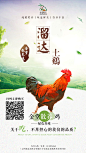 农耕云土鸡海报