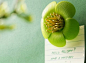 blossom_paper-clip-qualy-green-flower-fridge-magnet1 #静物# #创意#
------来自午夜风的图书馆：http://www.360doc.com/myuserhome.aspx?userid=1644755