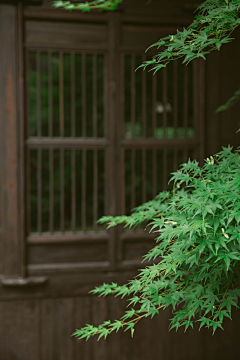 赵囧囧--采集到古建