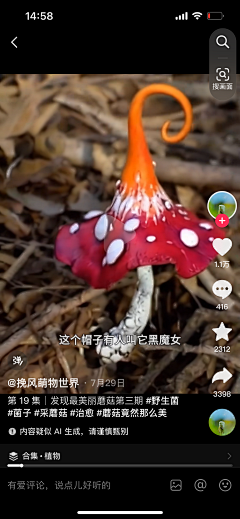 8ZzwQUPy采集到自然万物植物动物