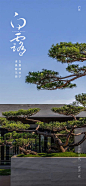 地产白露二十四节气海报
