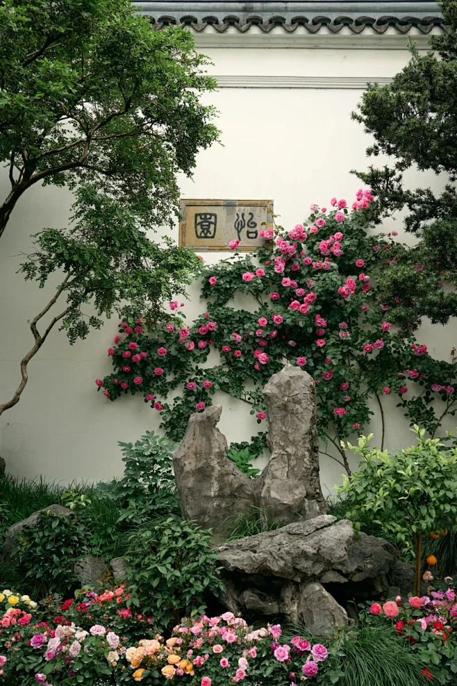 庭院深深深几许｜怡园 - 小红书-花瓣网