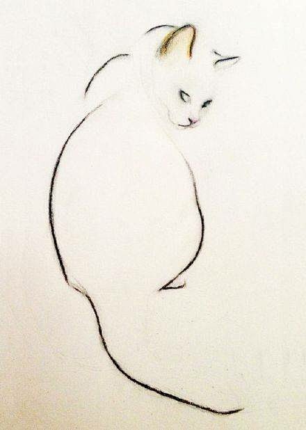 有什么很好的画猫的作品？ - 知乎