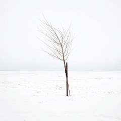 Sunight采集到Akos Major：构成主义实践作品