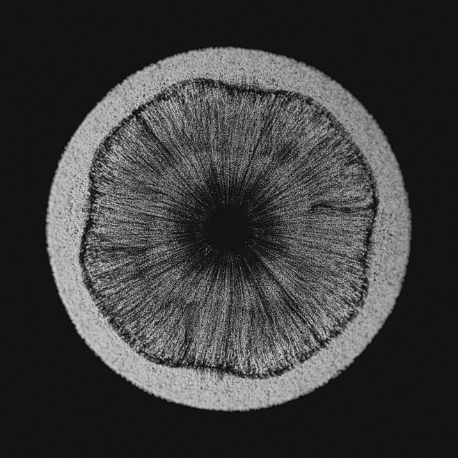 Cymatics, Serjan Bur...