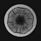 Cymatics, Serjan Burlak : R+D, tried to mimic cymatics in Houdini