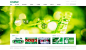 绿色矿泉水企业网站首页界面设计psd素材