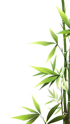 凤小青采集到封面素材垃圾桶