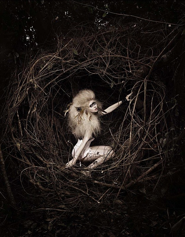 Allison Harvard