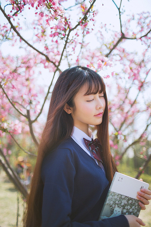 想你，隔着一树的花开，浅夏的跫音叩响了六...