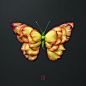 Natura Insects & Animals
