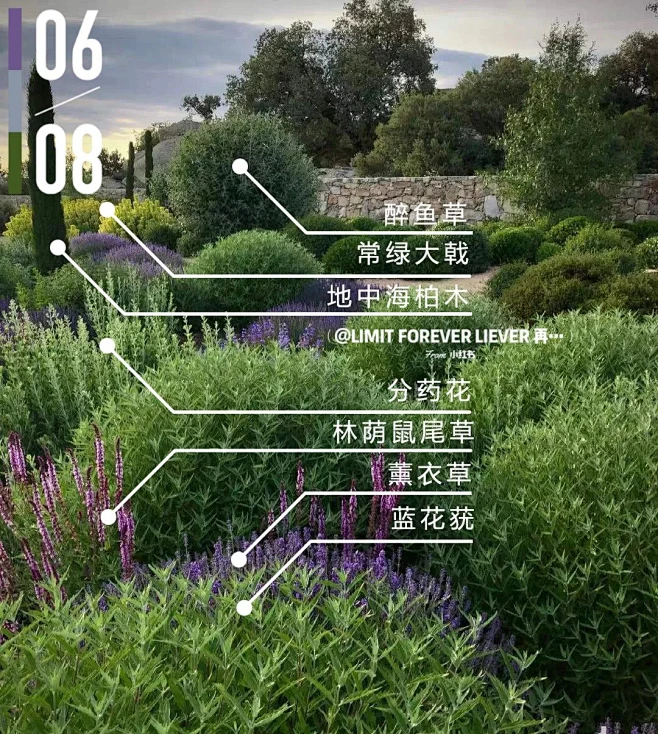 植物配置实景 (2)-花瓣网