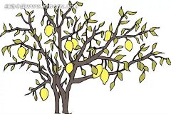 一棵黄梨树eps格式|果树|黄梨|矢量素材|矢量图|树木|叶子|植物|EPS格式名片素材|EPS格式文件|vi设计eps格式模板|EPS格式　矢量设计稿